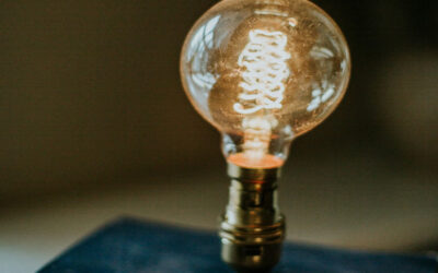 Former les talents de demain : un engagement fort chez Alinéa Paysage