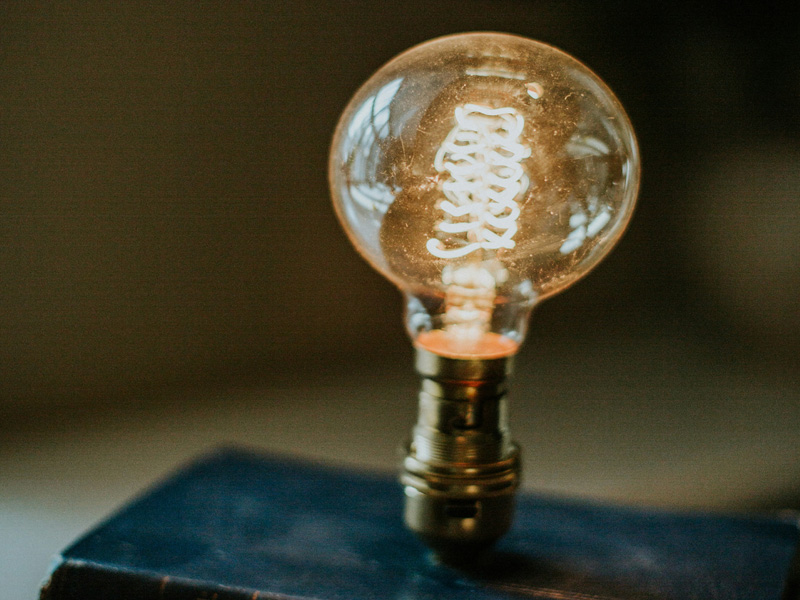 Former les talents de demain : un engagement fort chez Alinéa Paysage