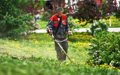 Entretenir son jardin à prix avantageux grâce au Service à la Personne