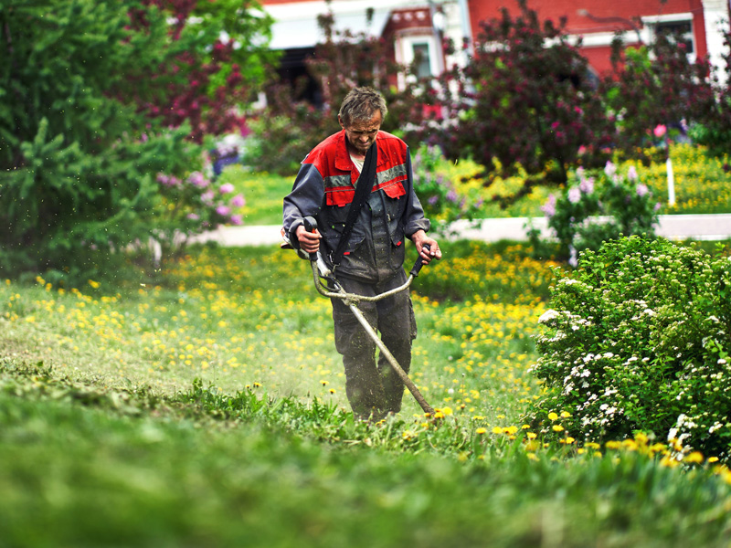 Entretenir son jardin à prix avantageux grâce au Service à la Personne