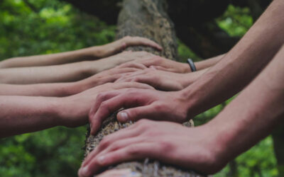 Le multiculturalisme : une richesse essentielle au cœur d’Alinéa Paysage