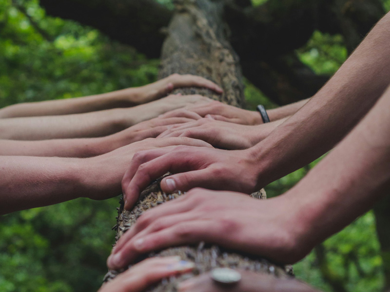 Le multiculturalisme : une richesse essentielle au cœur d’Alinéa Paysage