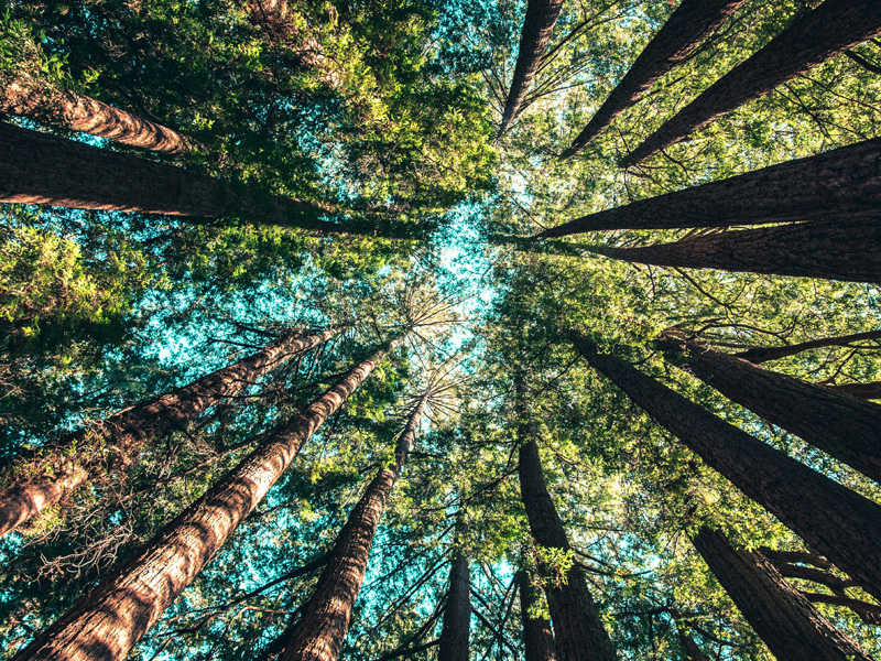 Travailler main dans la main avec la Nature