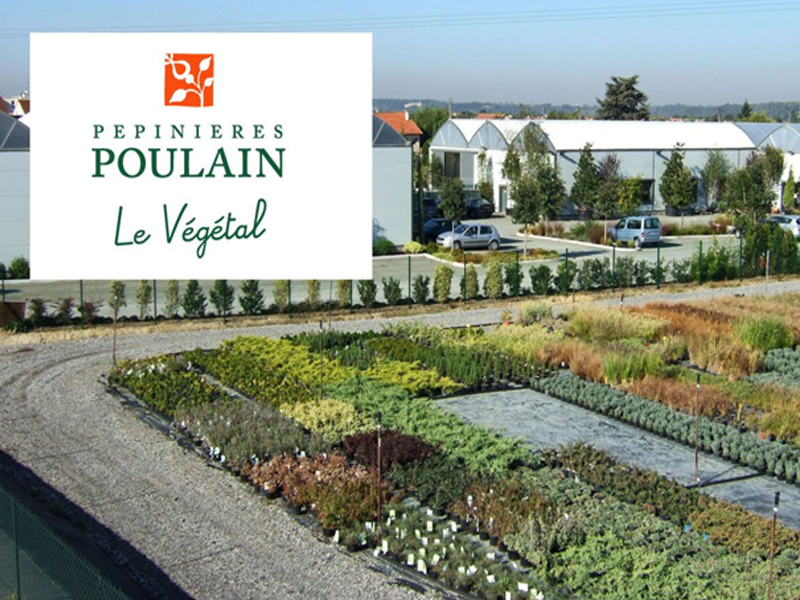 Pépinières Poulain : une collaboration durable au service de nos projets paysagers