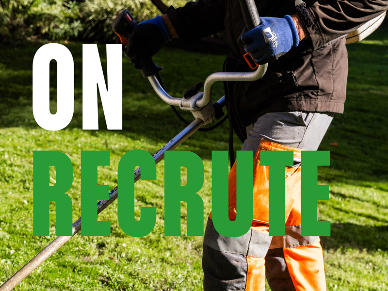 Alinéa Paysage recrute : rejoignez une équipe engagée